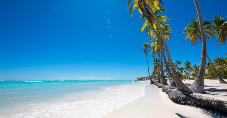 Elite Aptos At Cap Cana Apartamento