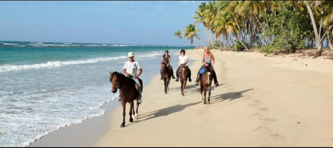 Liz 2 Bedrooms 2bathrooms * Punta Cana