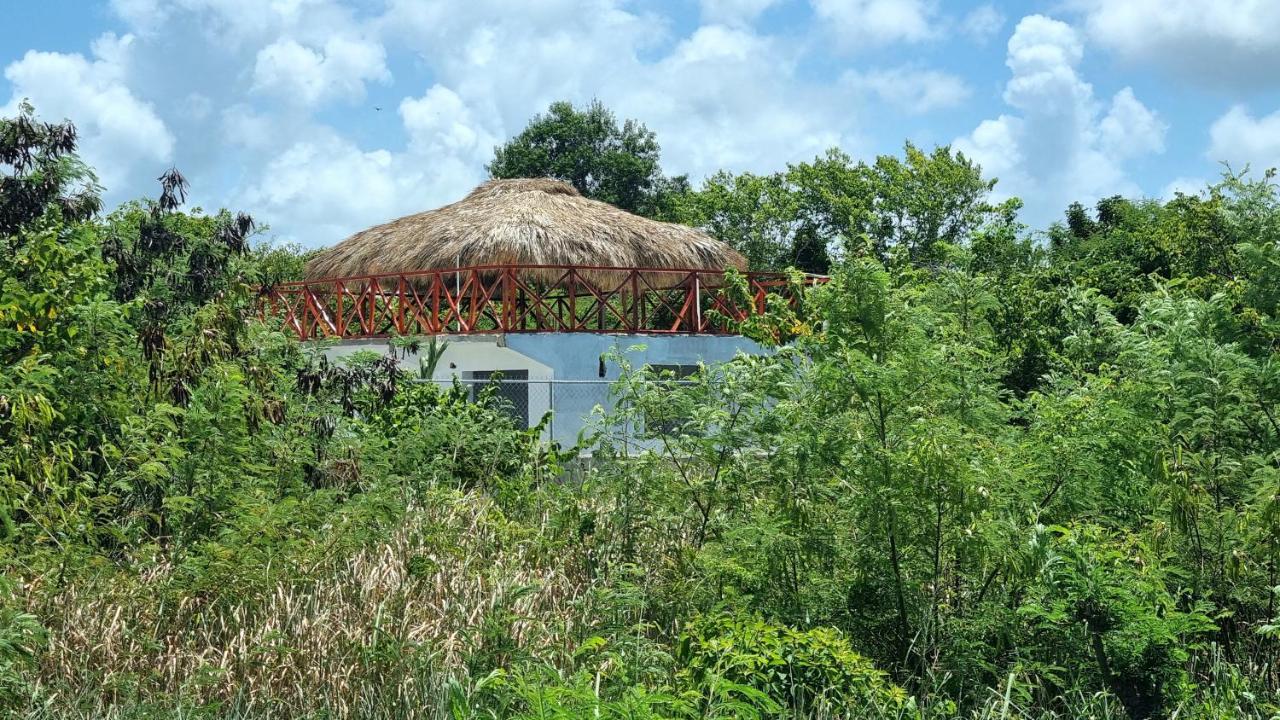 Pensión Luxury House Bungalow&apartments La Botánica Tropical