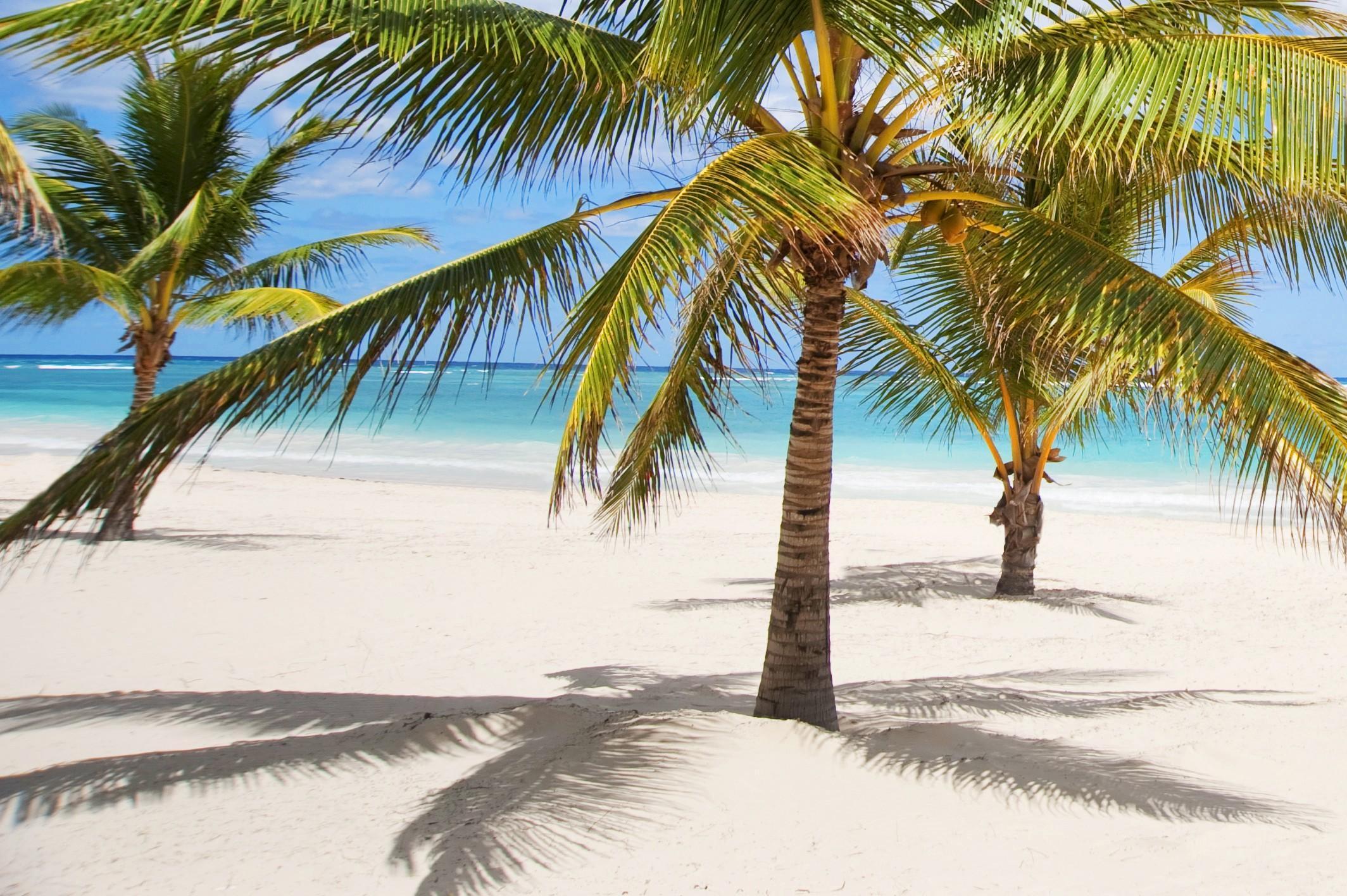Karibo Apartahotel Punta Cana