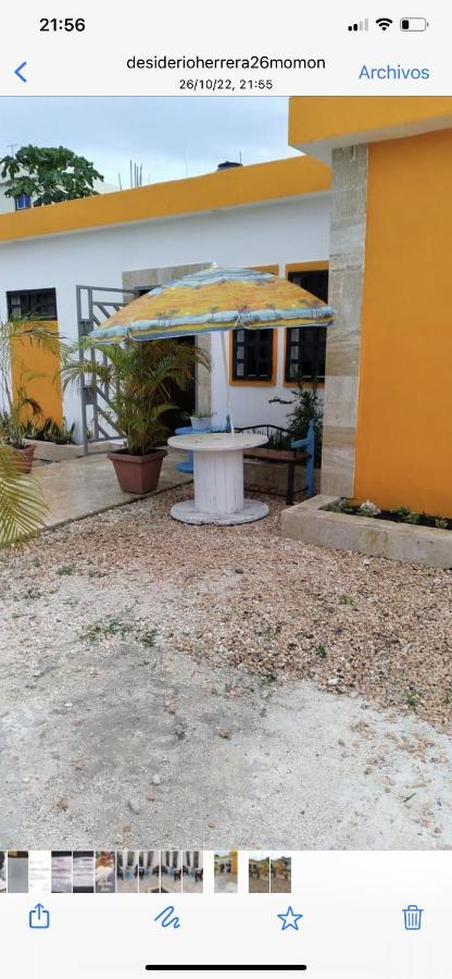 Van Vliet * Punta Cana