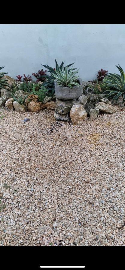 Van Vliet Pensión Punta Cana