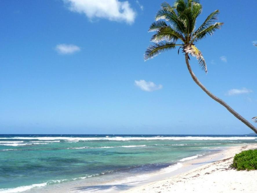 Caribbean Cozy - Pool Beach Club & Apartahotel