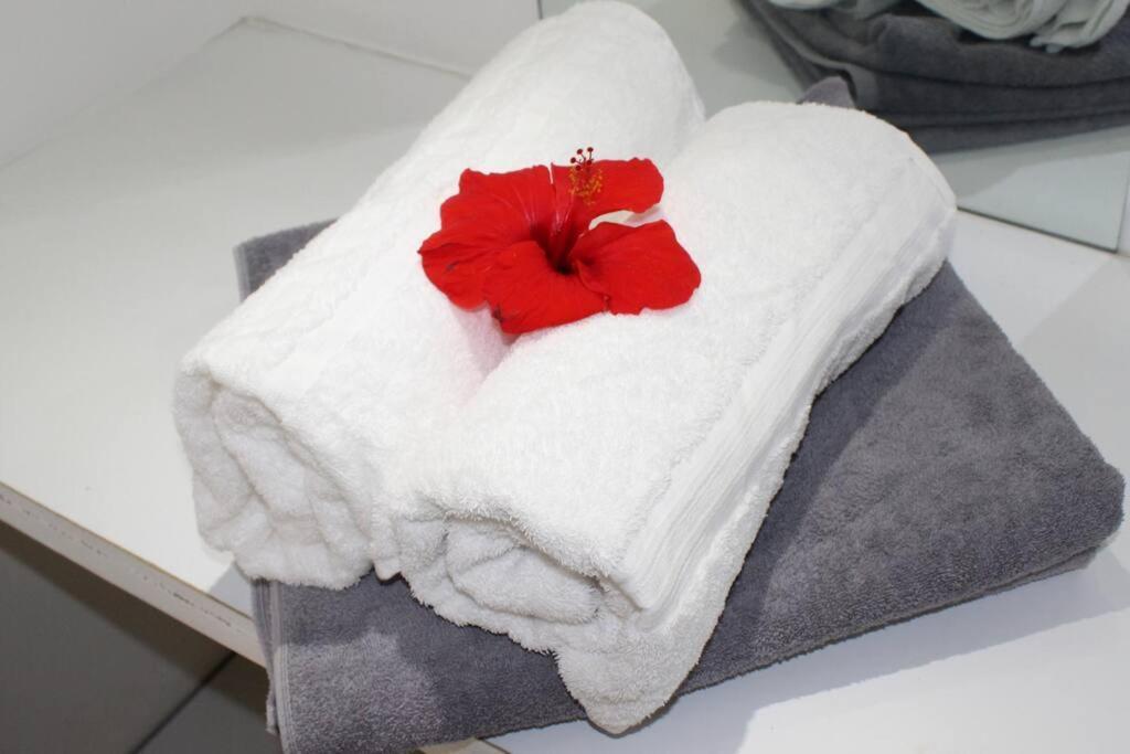 Apartamento Starfish *