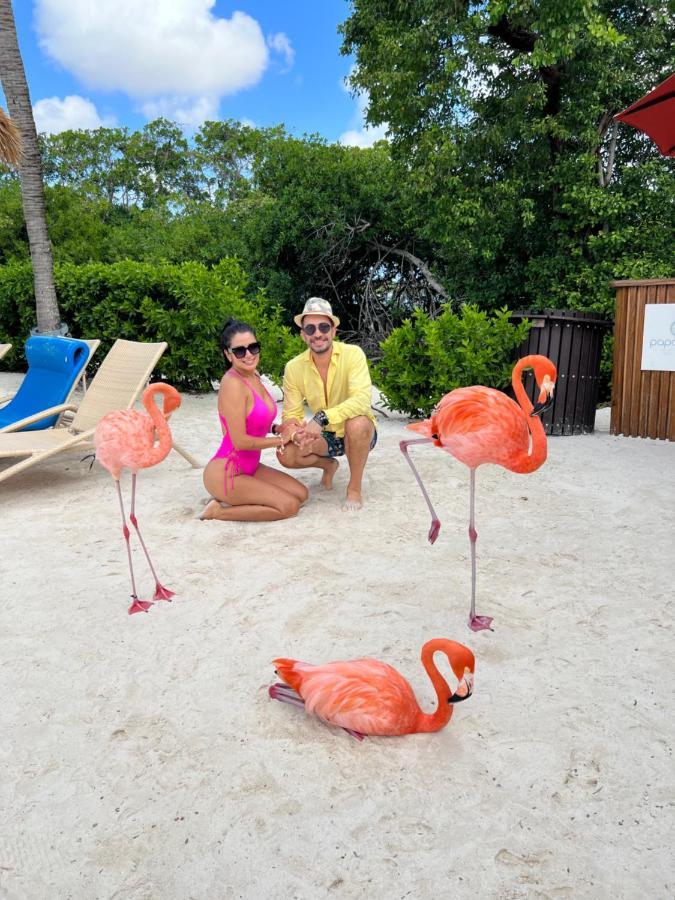 Bavaro Suites Pool Apartamento