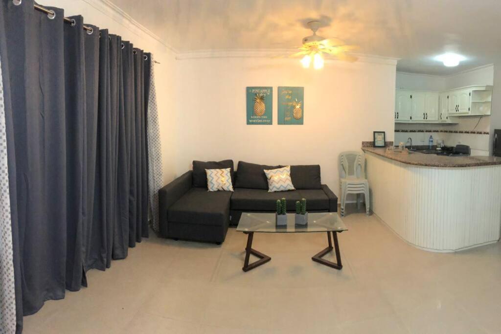 In Bibijagua Beach With Pool, Apartamento *