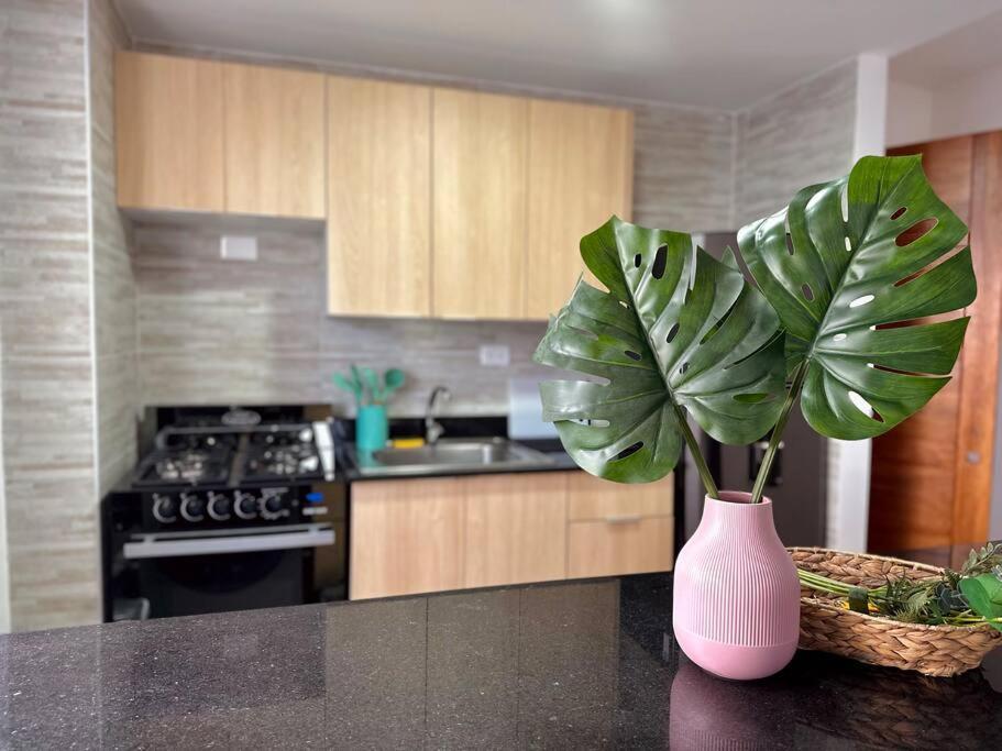 Apartamento Paraiso Cana Punta Cana
