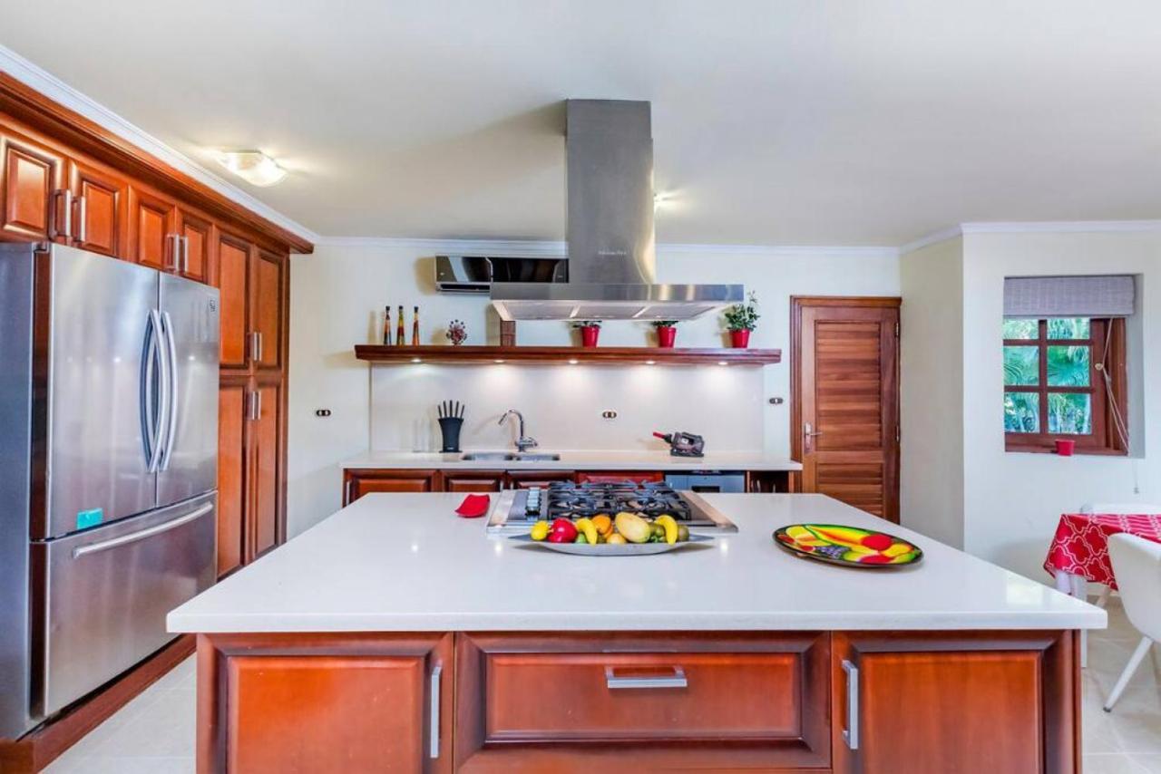 Cocotal Mansion Chef Butler Maids 2 Pools Jacuzzi Gym Punta Cana