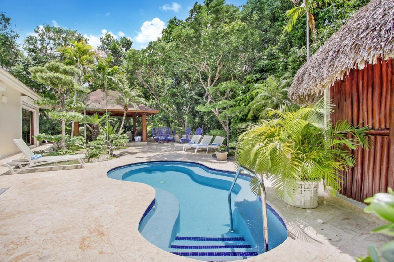 Spacious 4 Bedroom With Pool, Touring Cart & Maid Punta Cana