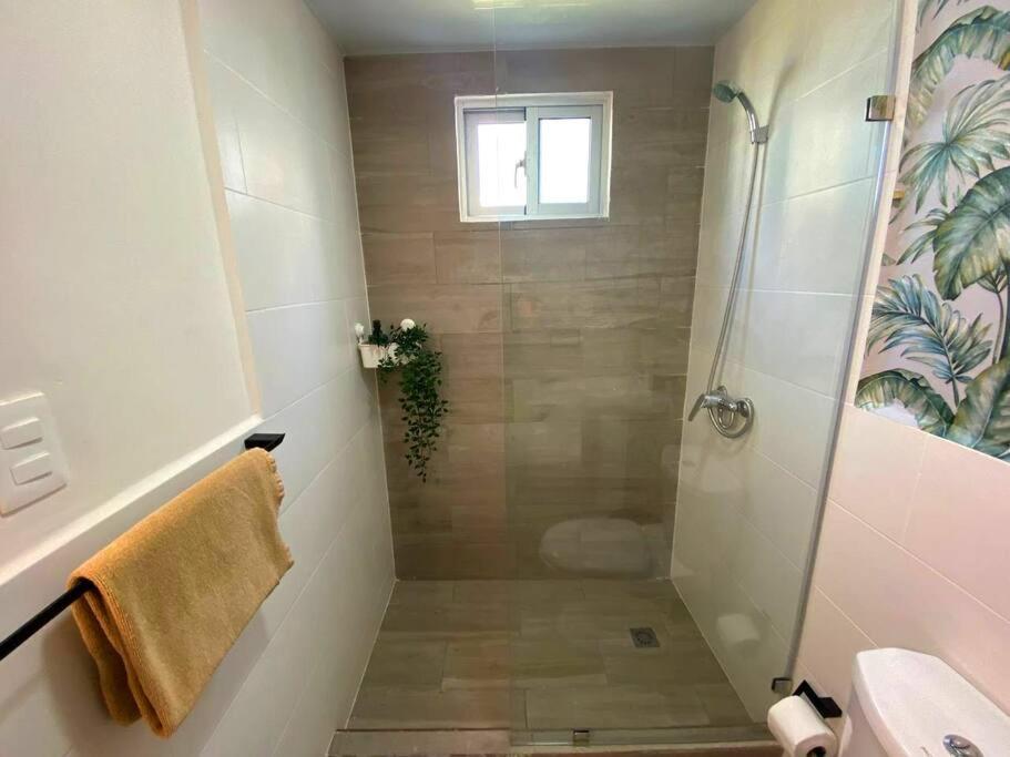 Apartamento Tropical Zen With Pool In *