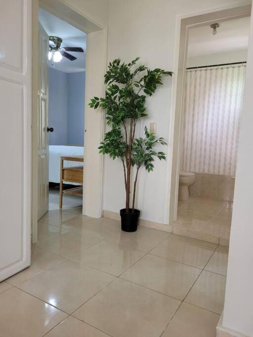 Bavaro Sun Beach Residential Apartamento Punta Cana
