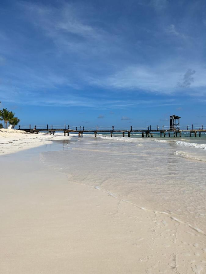 Apartamento Fully Renovated Beachfront 1br In The Gated Stanza Mare Community With A Private Beach, Pool, Onsite Restaurant And Modern Amenities Such As Refrigerator, Dishwasher, Filtered Water, Microwave, Bbq, Washer Dryer, Bamboo Linens, Free Wi-fi *