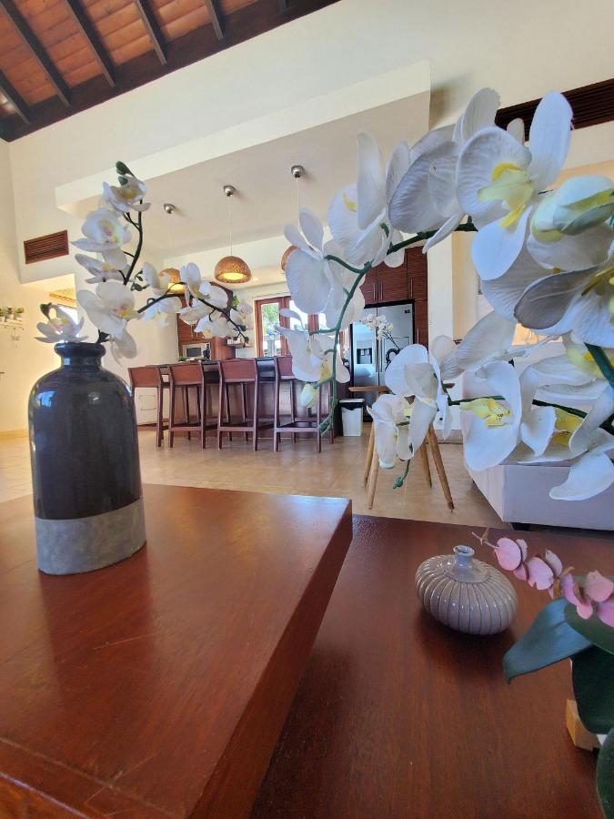 Espectacular Tropical De 2 Hab/ Con Piscina Privada Y Bbq Apartamento *