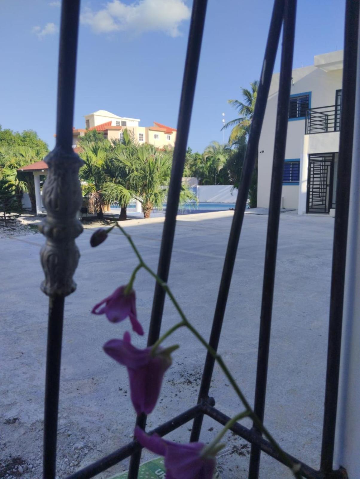 Nely Y Pietro Share Bed and breakfast Punta Cana
