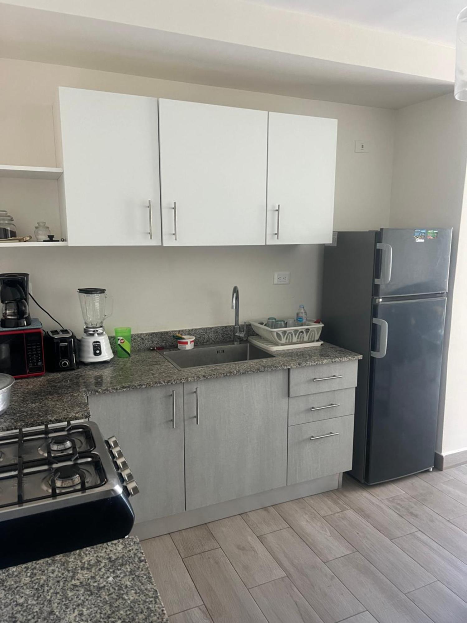 Apartamento Departamento Completo O Habitacion. Punta Cana