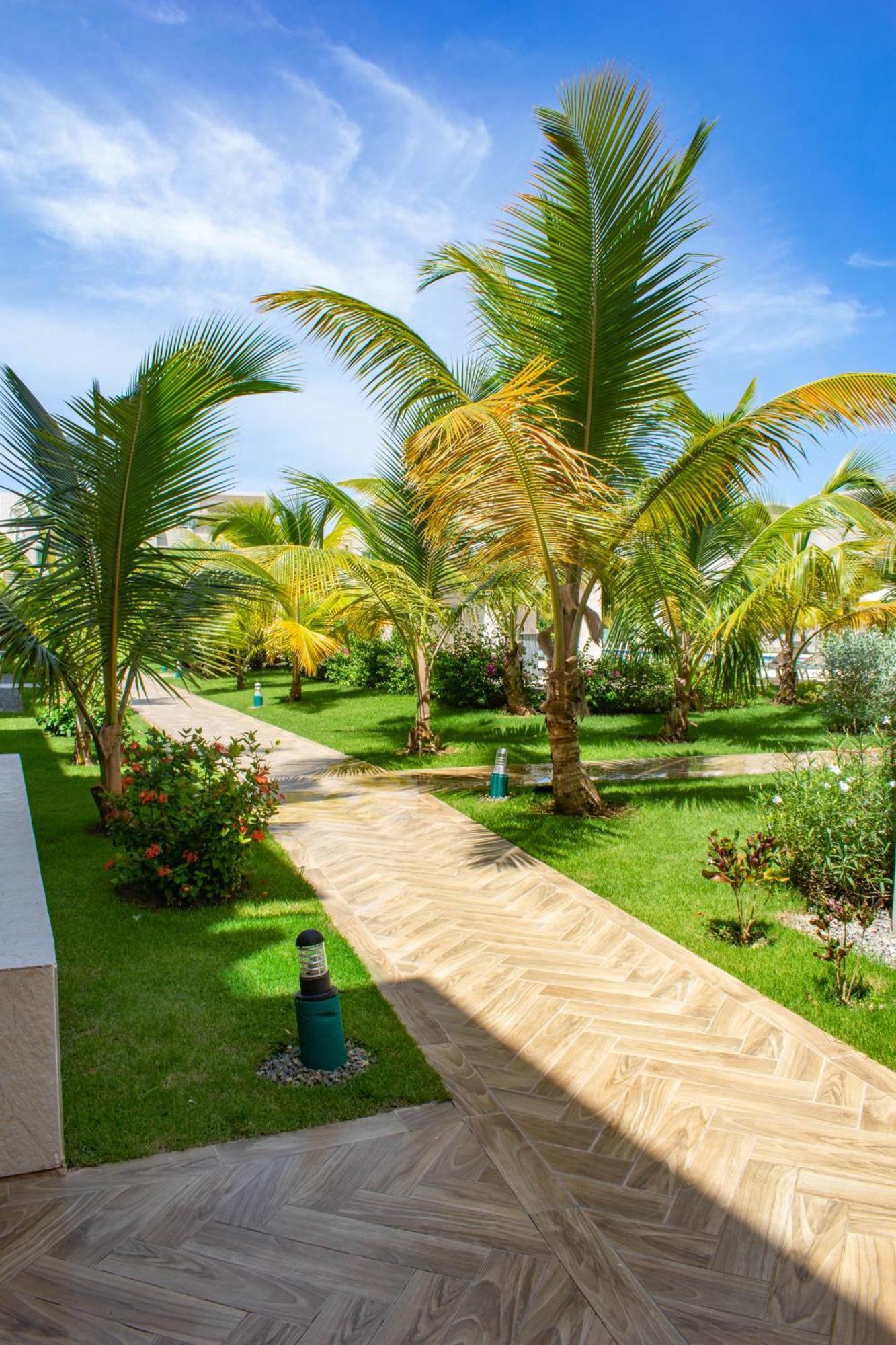 Playa Palmera