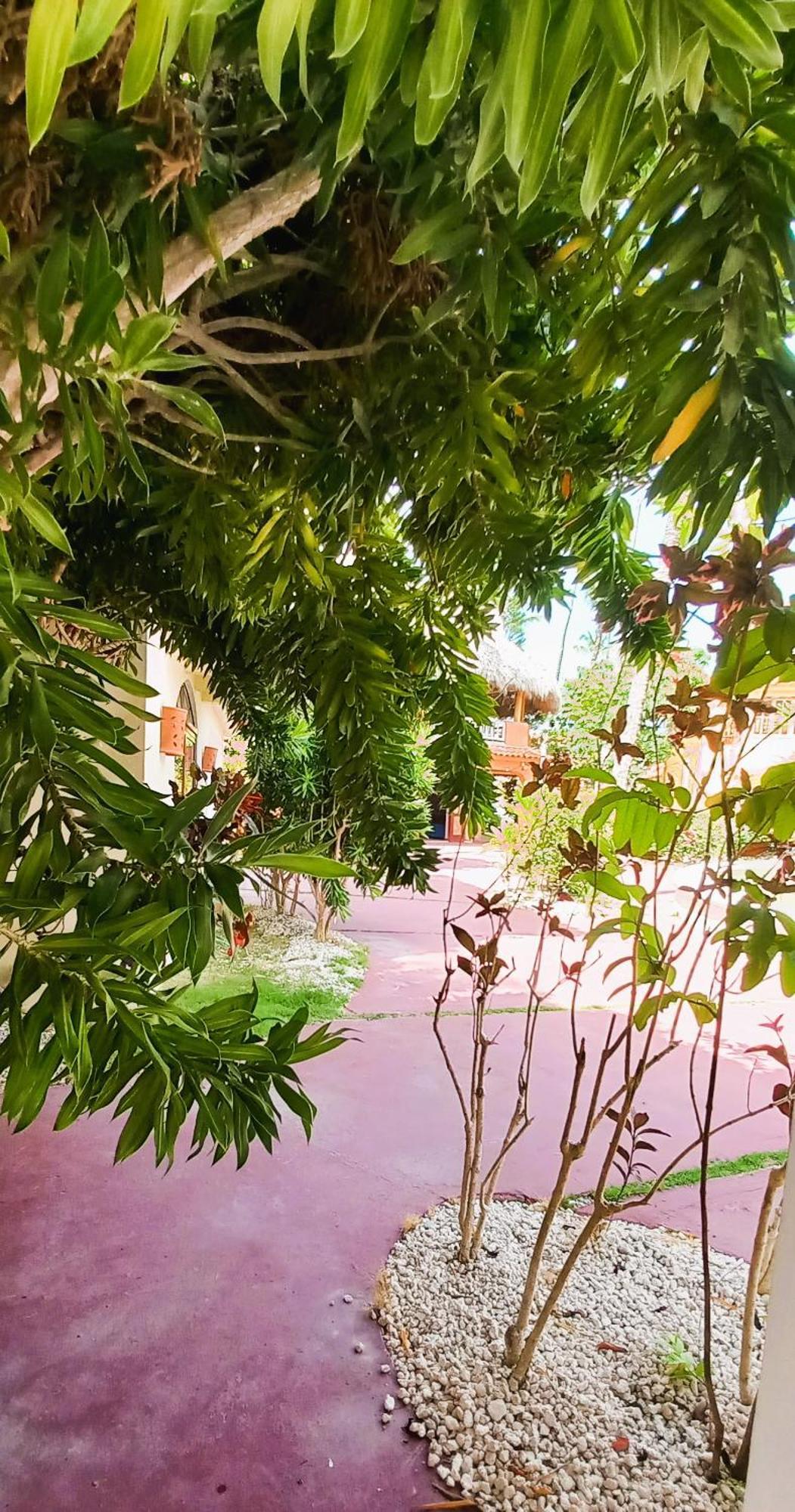 Apartahotel La Piazzetta - Corales Village
