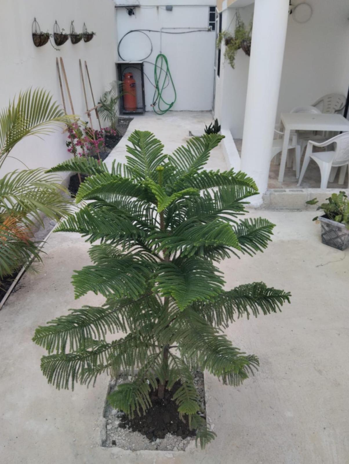 Residencial Varadero Apartamento *