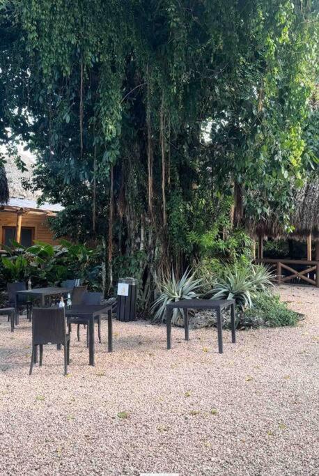 Papaya Bavaro Just Steps From The Beach. Apartamento