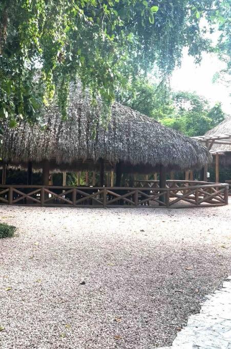 Apartamento Papaya Bavaro Just Steps From The Beach.