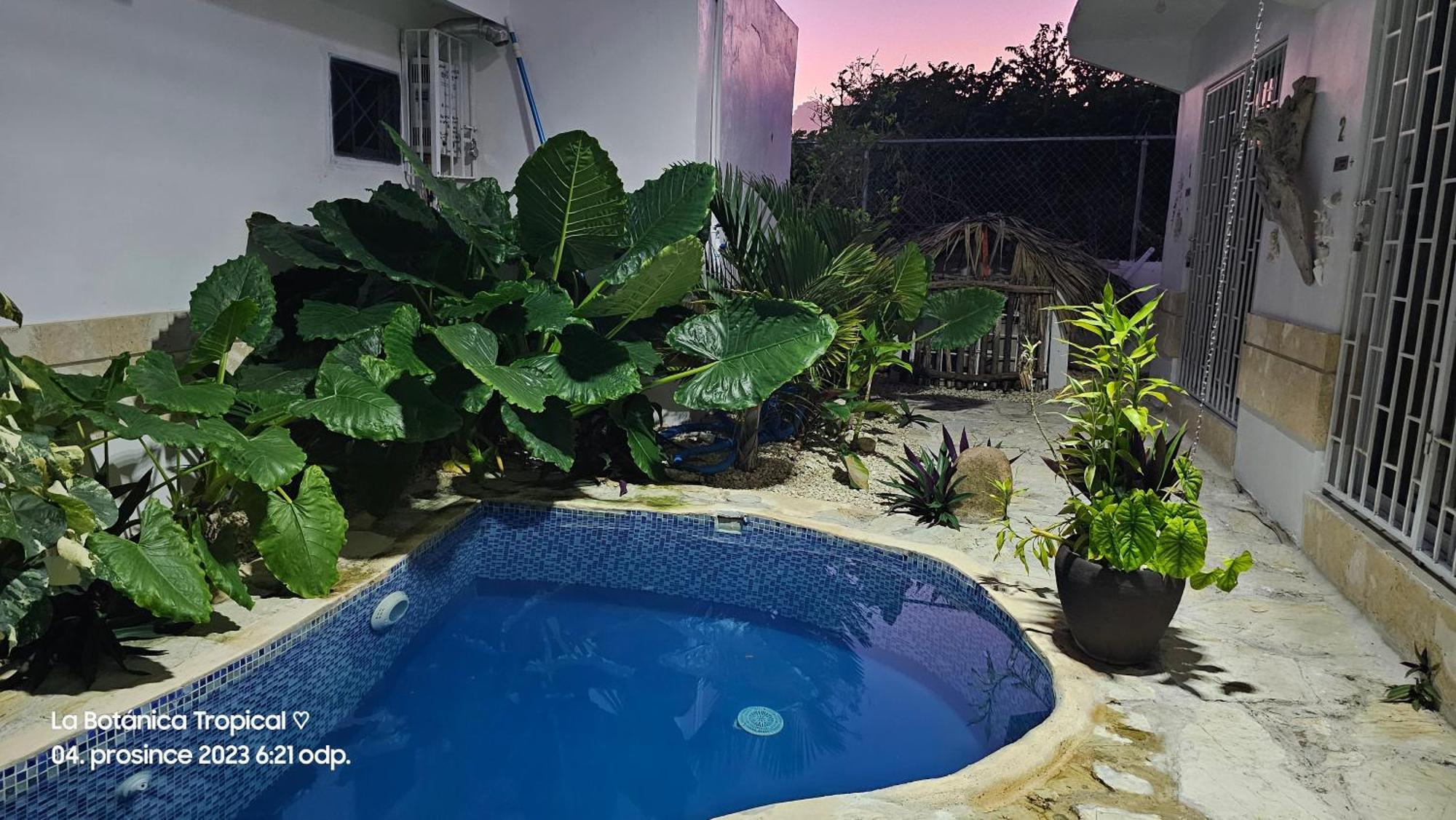 Pensión Luxury House Bungalow&apartments La Botánica Tropical