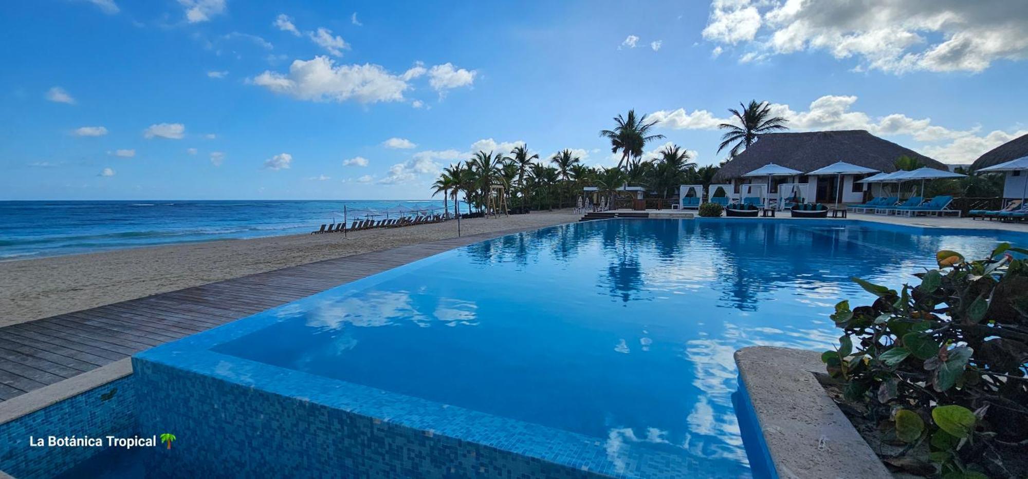 Luxury House Bungalow&apartments La Botánica Tropical Pensión Punta Cana