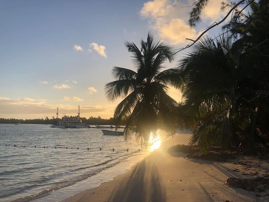 Crisfer Punta Cana