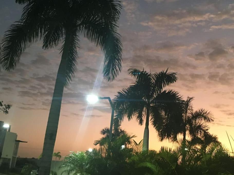 Crisfer Punta Cana