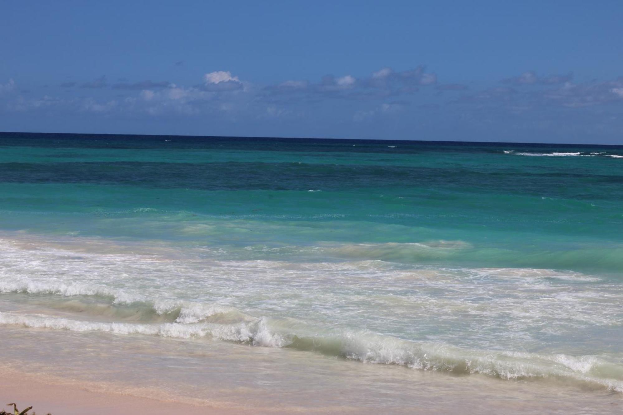 Essential Life Con Playa Y Piscina Punta Cana