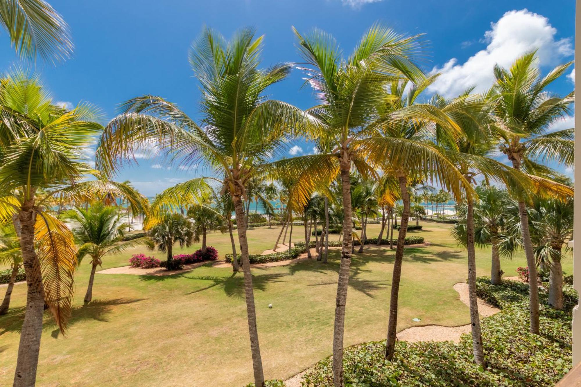 Aqm Beachfront Paradise! 3bdr At Api Beach, Cap Cana
