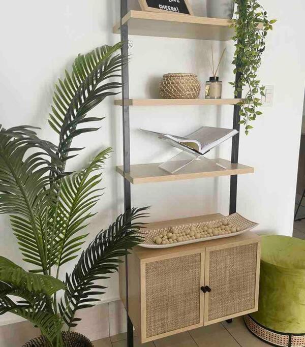 New Modern Boho In Corales *