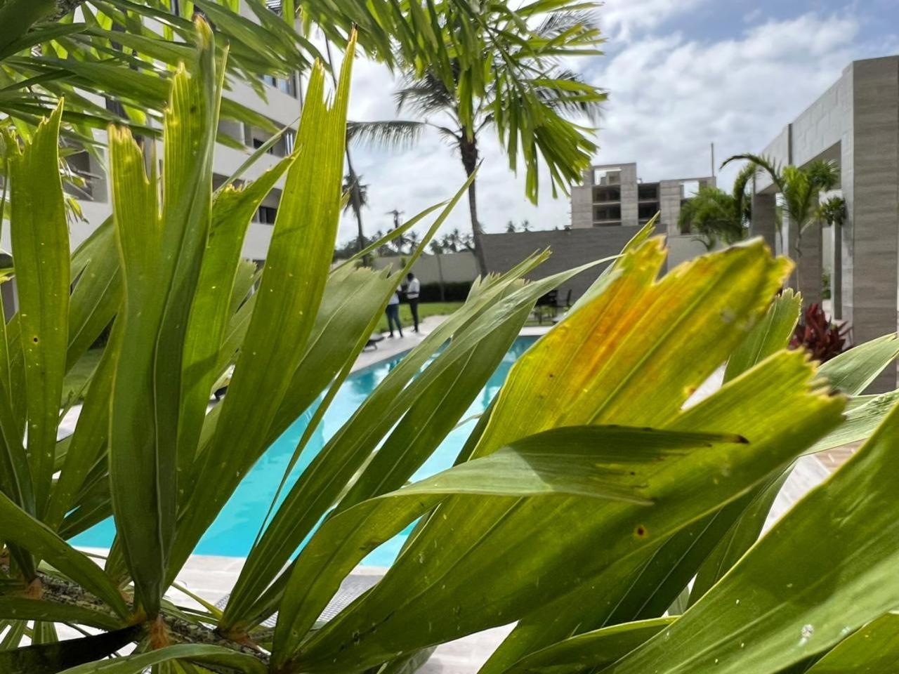 A Solo 13 Minutos Caminando A Playa, 2 Niveles De 1 Con Jacuzzy Privado Apartamento Punta Cana