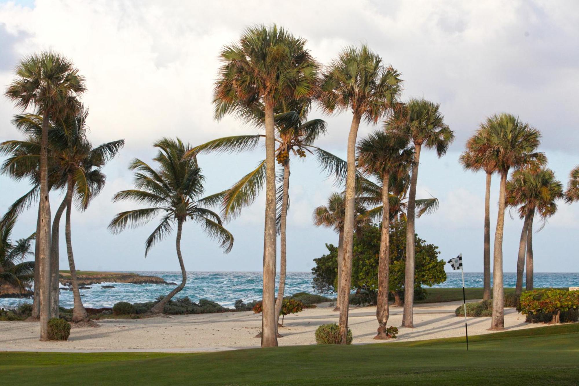 Cap Cana For Rent - Luxury With Access To Eden Roc Villa