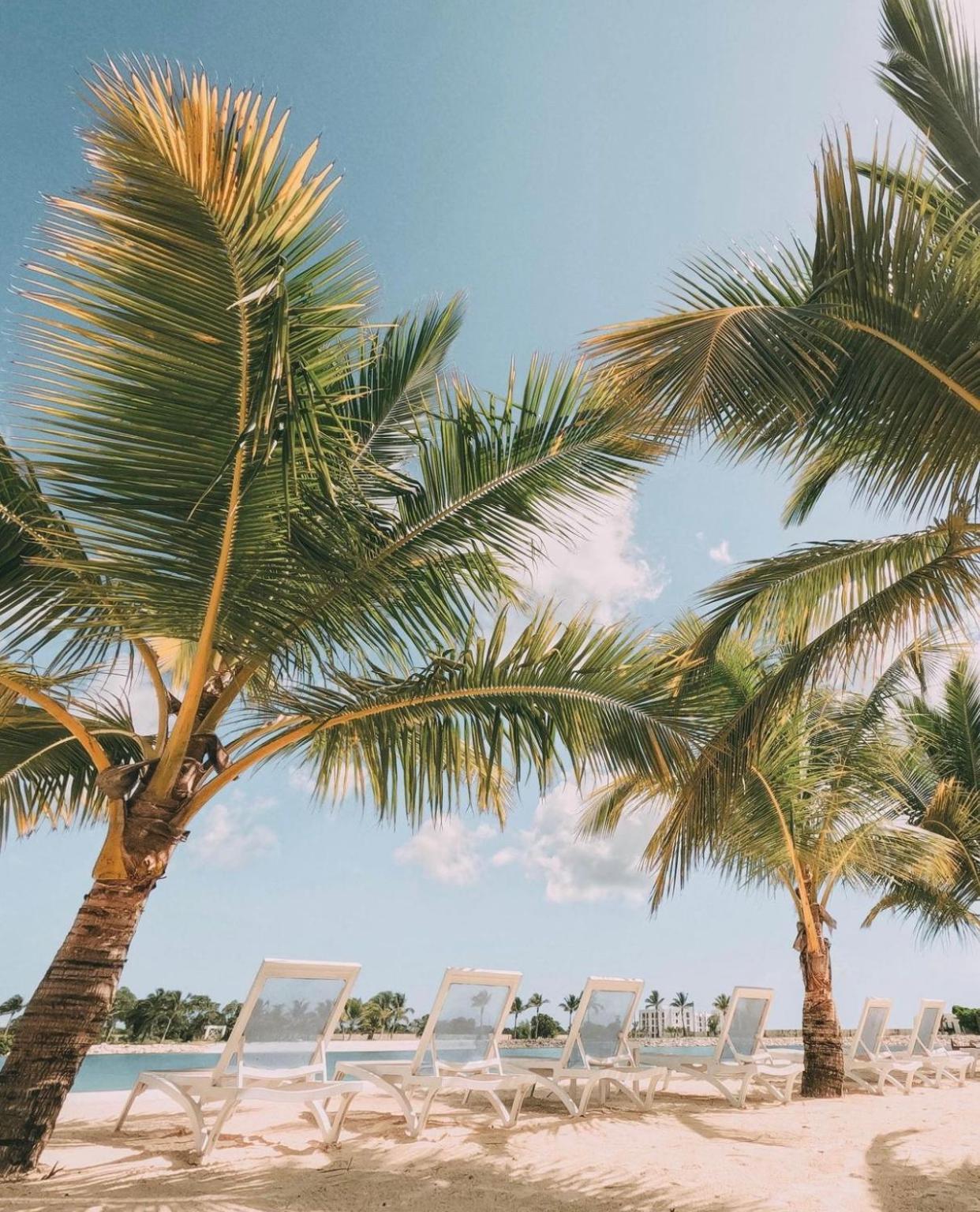 Tranquilidad Y Playa En Apartamento *