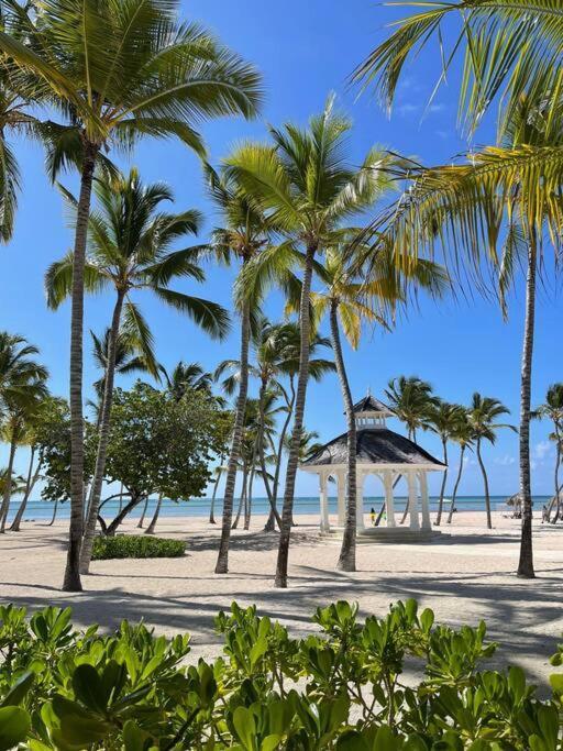 Navio C-103 Brand New Punta Cana