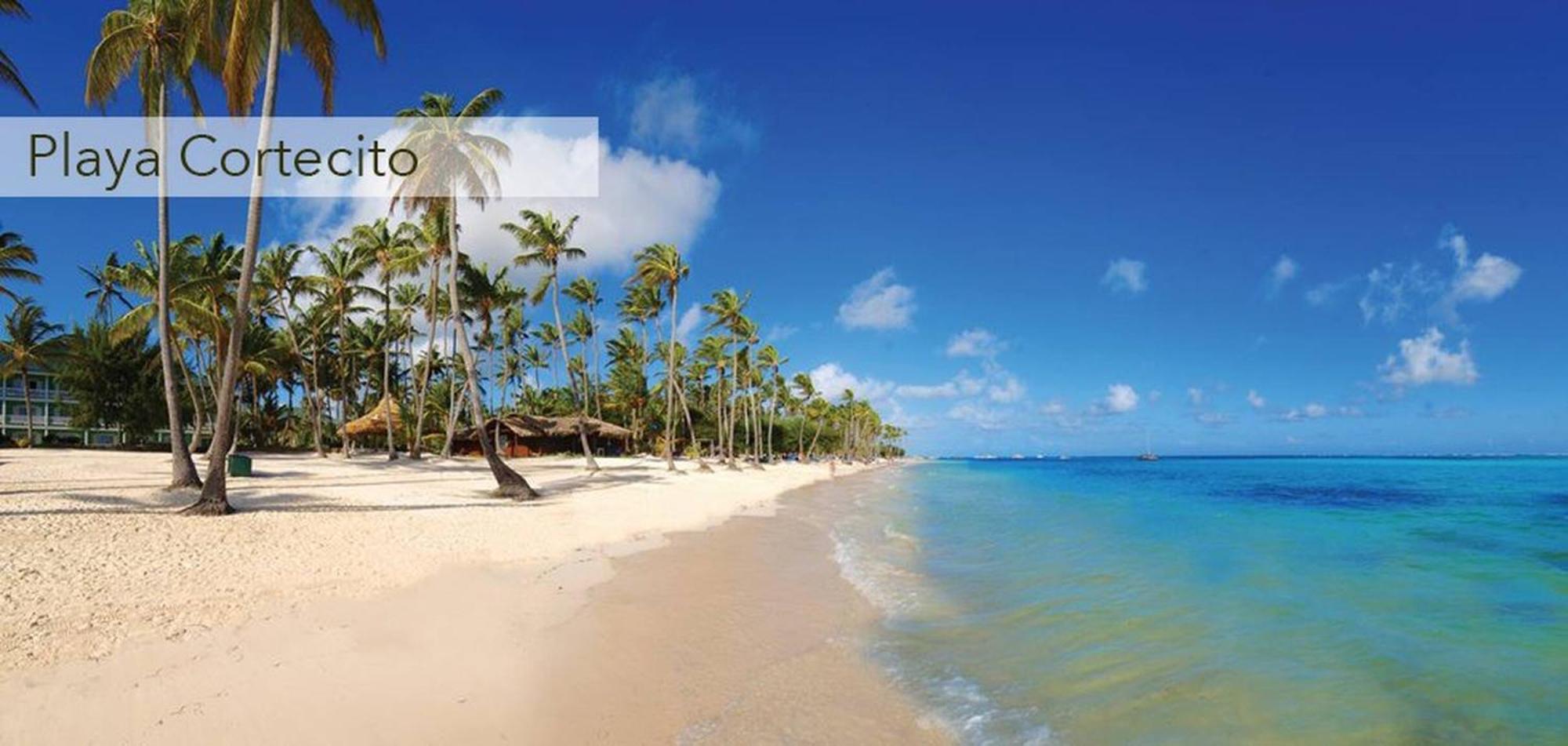 Tropical Garden With Picuzzi In Playa Bavaro Apartamento *