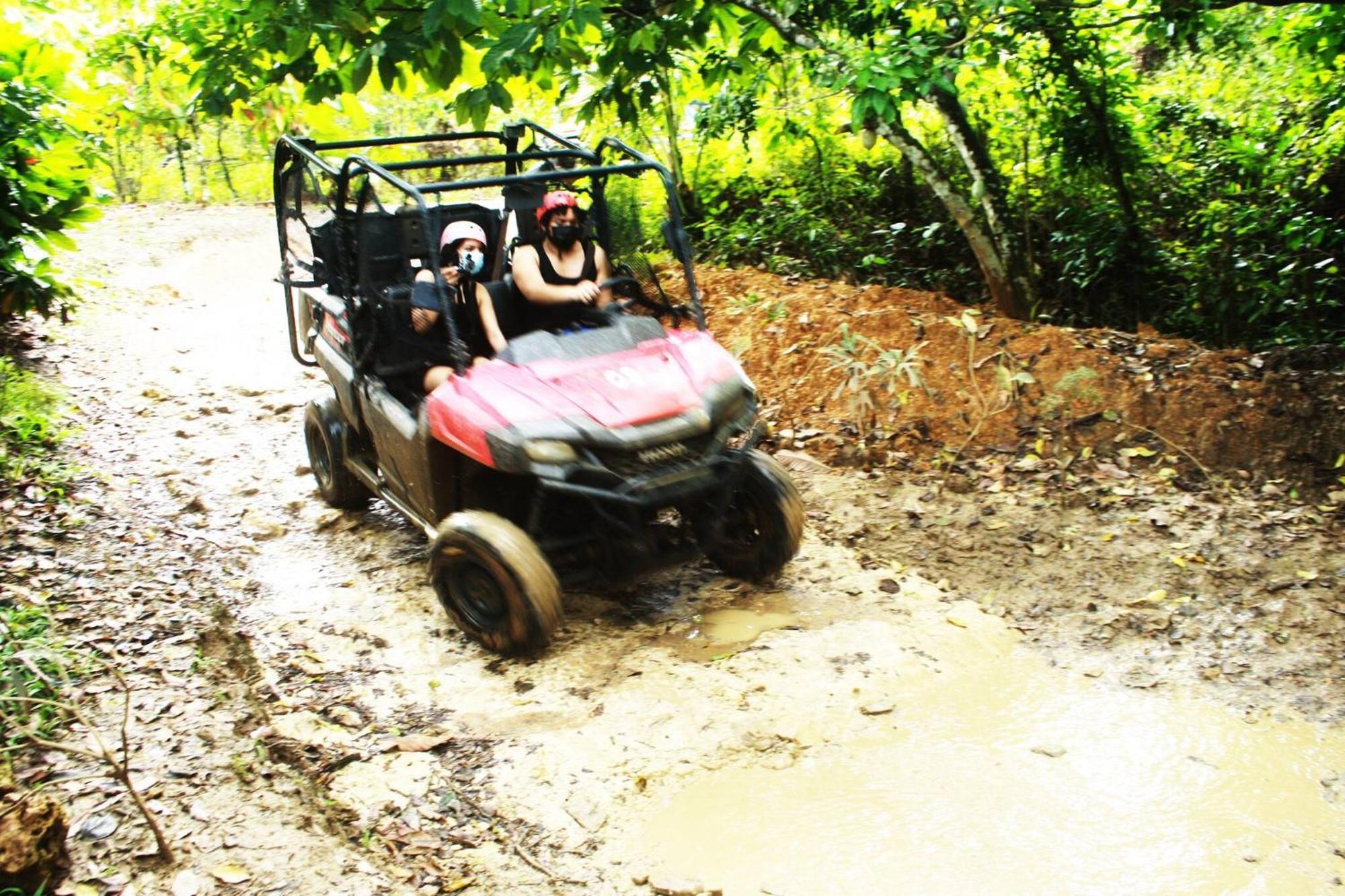 Tropical Garden With Picuzzi In Playa Bavaro *