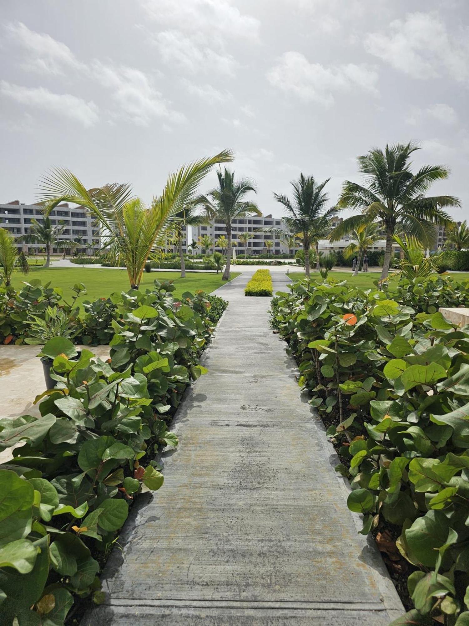 Santorinird * Punta Cana