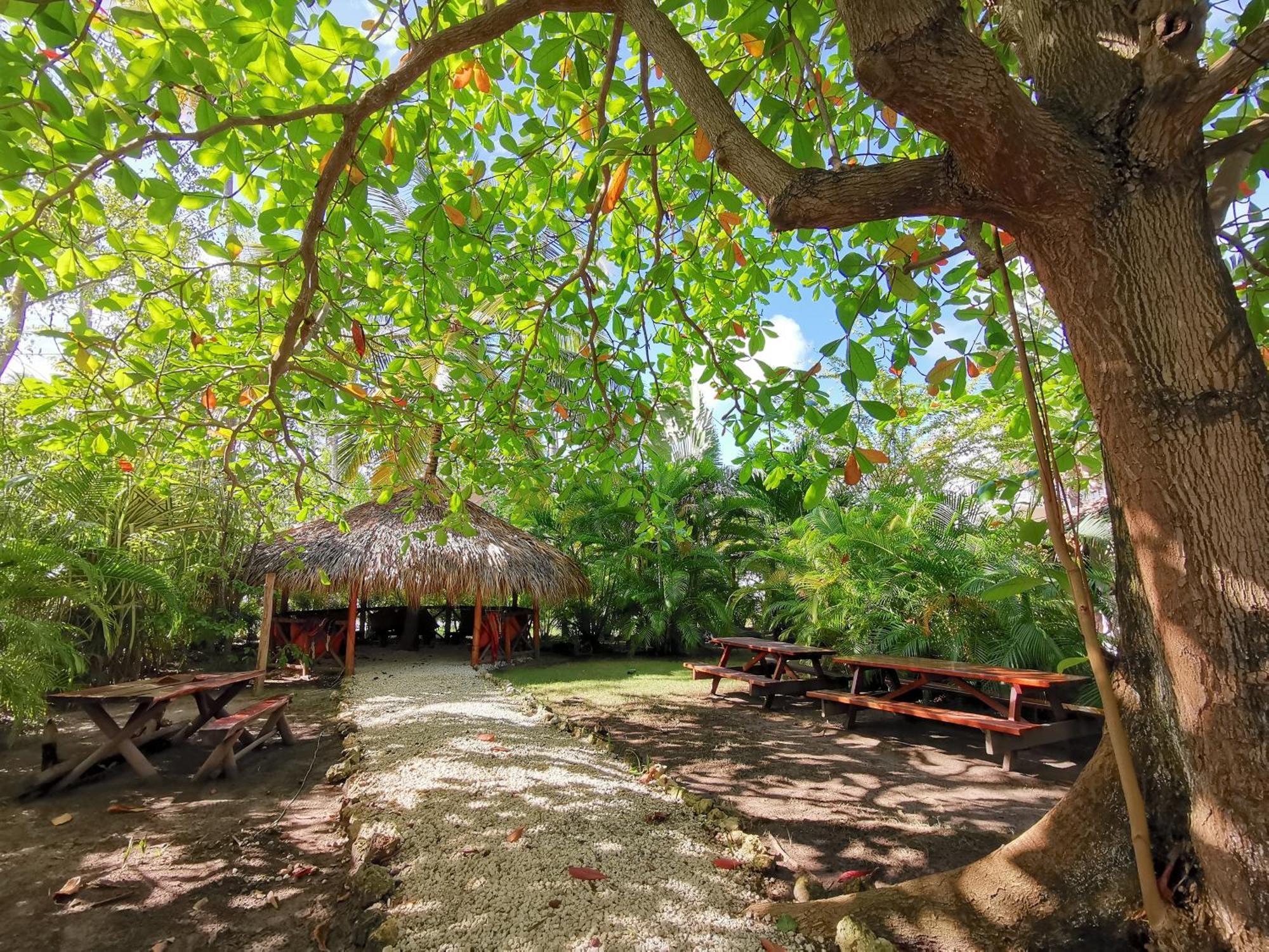 Deluxe Los Corales Beach & Spa - Best Price For Vacation 5* Punta Cana