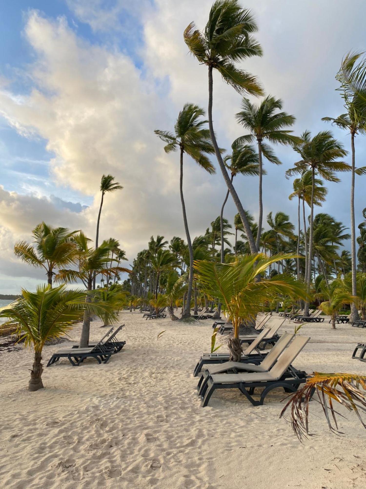 Apartamento The Perfect Place For In Corales Rd *