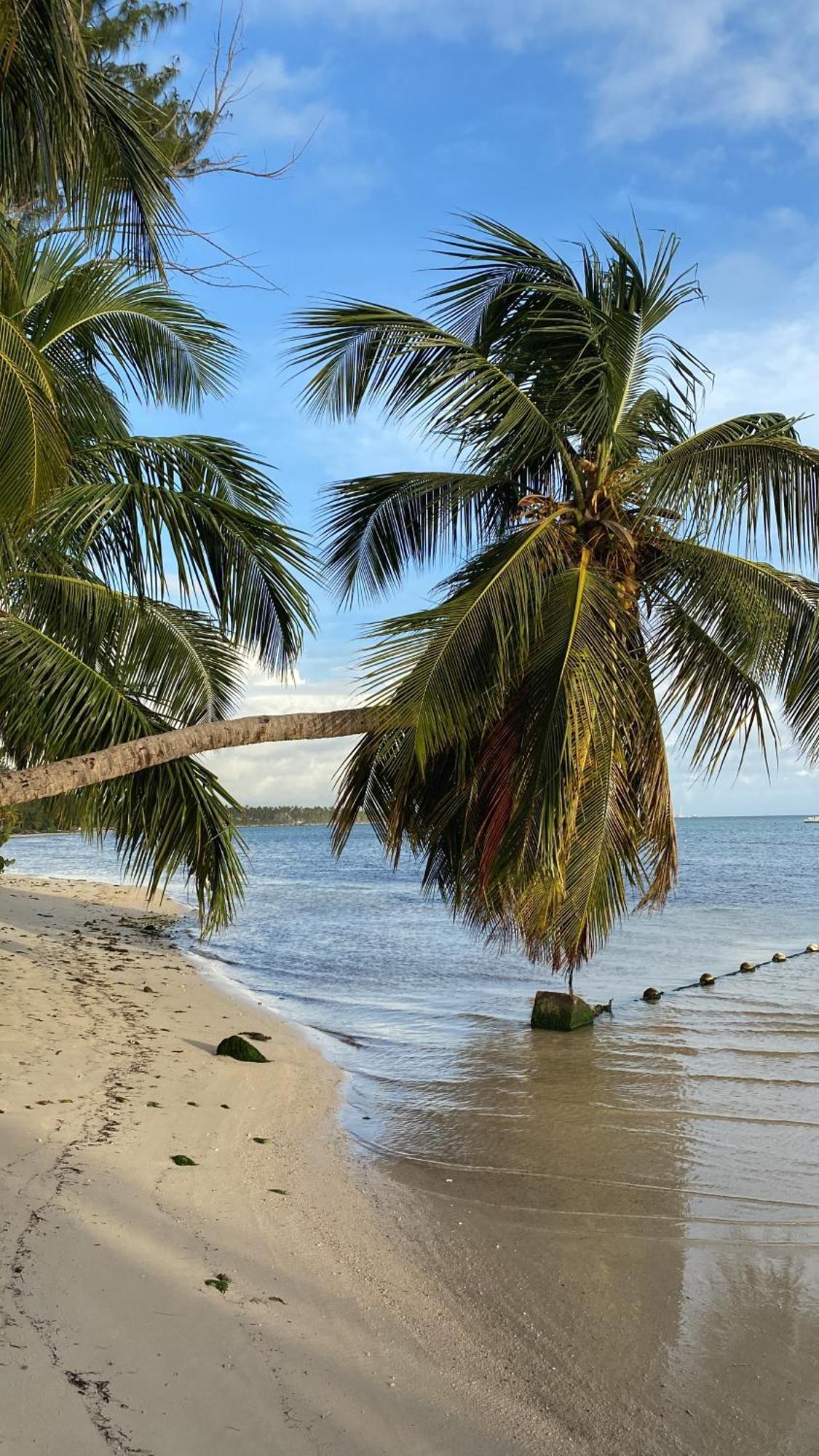 Luz 1 Los Corales Rd Your Perfect Place For Holidays * Punta Cana