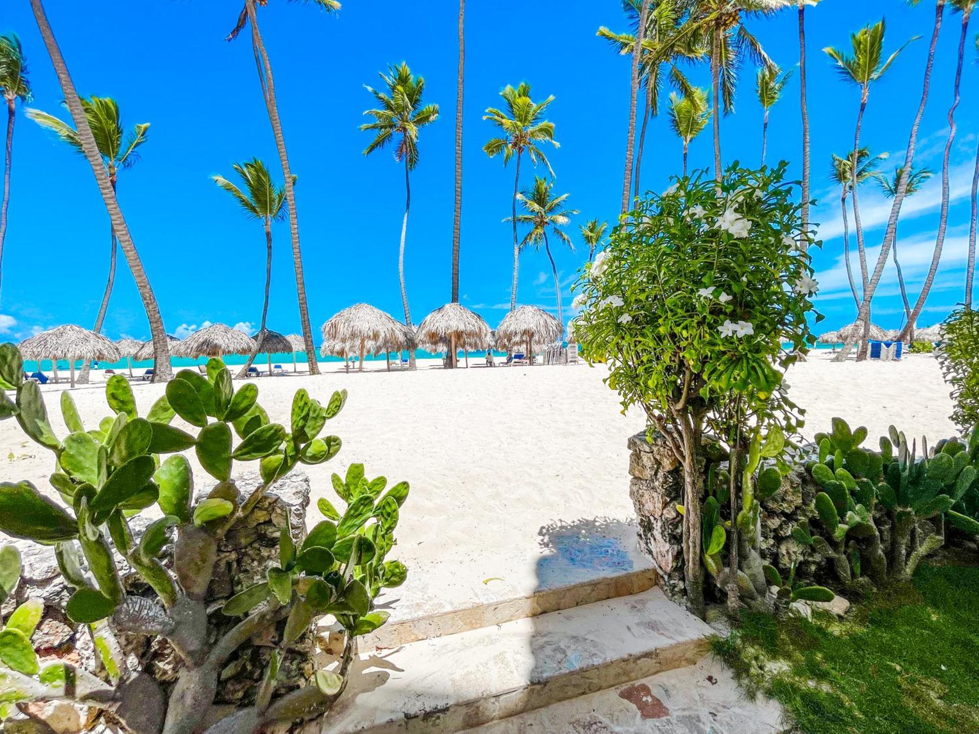 Caribbean Mojito Beach Wifi And Long Term Los Corales Beach Club & Spa 5* Punta Cana