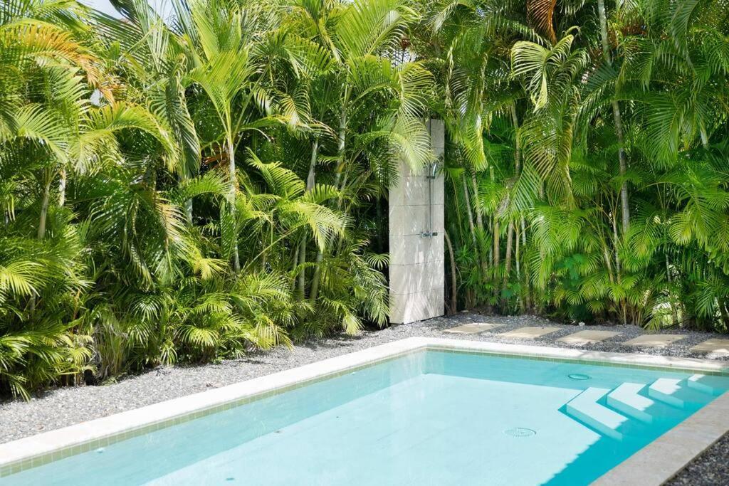 Cayena With Private Pool, Village