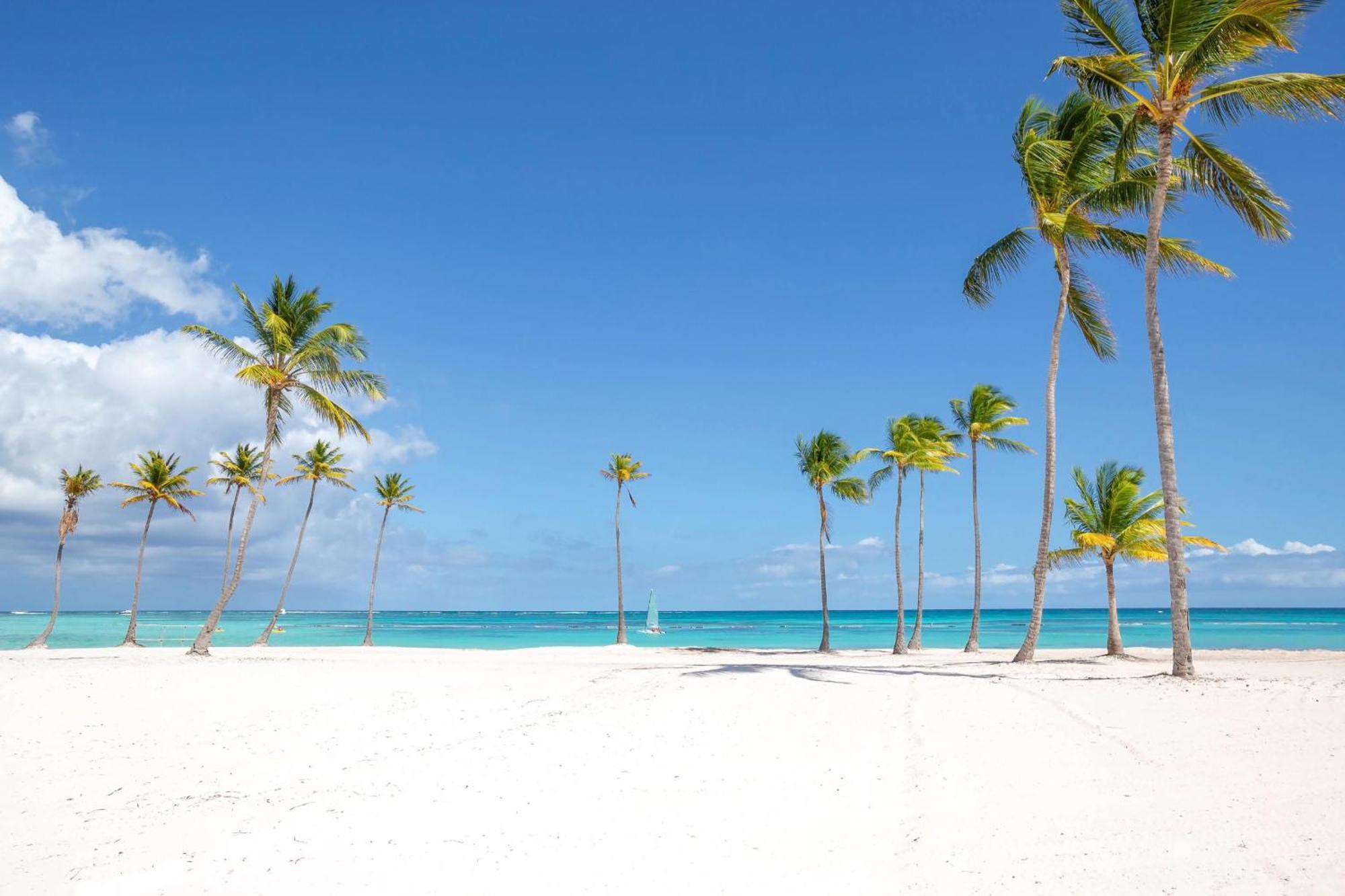 Cozy 1br-apartment With Terrace In Canas Apartamento Punta Cana