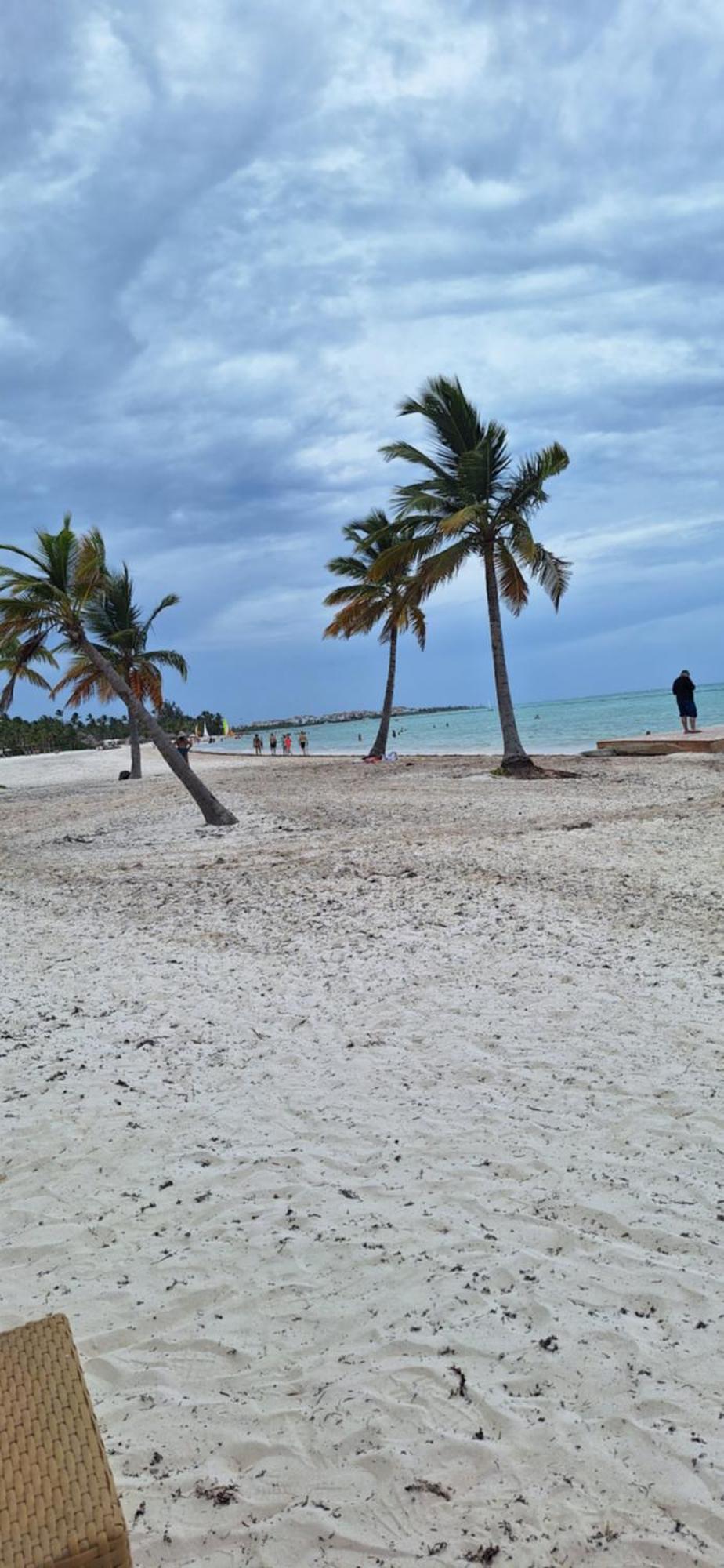 Apartamento Apto Estudio En Punta Cana, Vista A La Pisicina