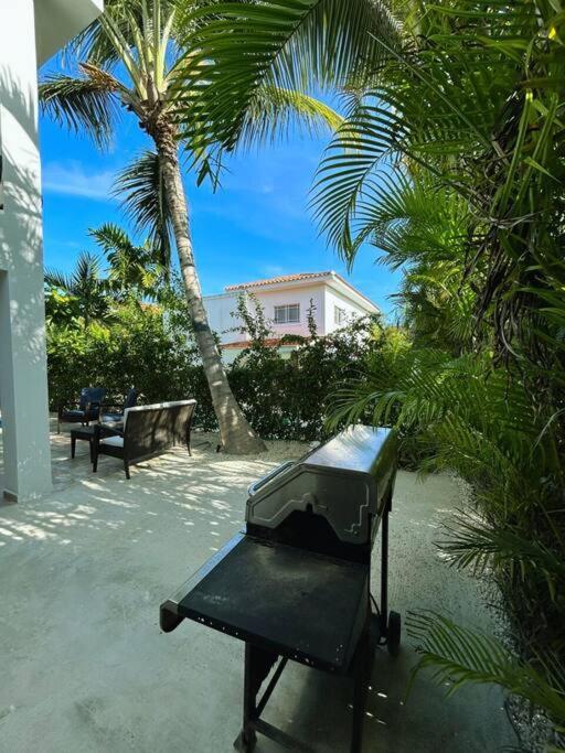 Elisa 4br With Pool Jacuzzi & Bbq Villa Punta Cana