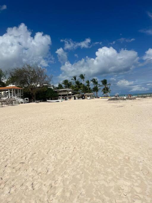 Amazing And Cozy Located In Downtown Of Apartamento *