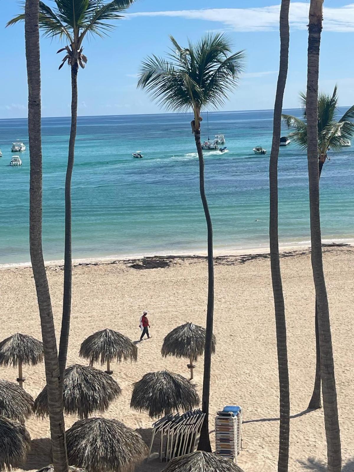 Palm Sea View *