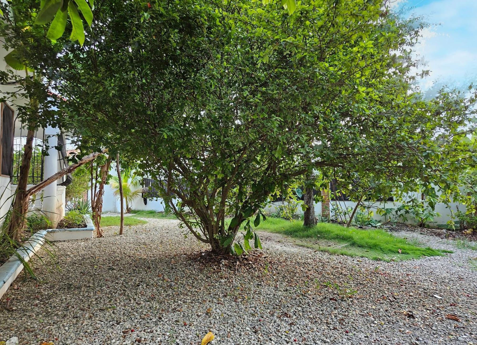 Dmm Con Piscina, Jacuzzi Y Gran Area En Villa