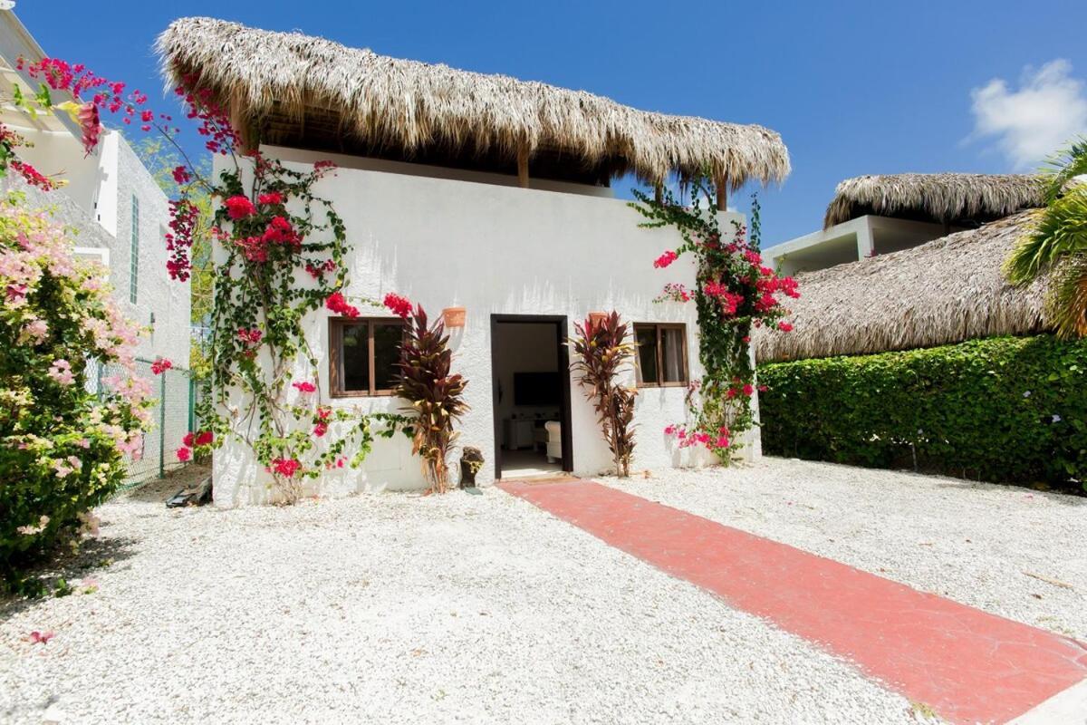 Villa Retreat In Ibiza,